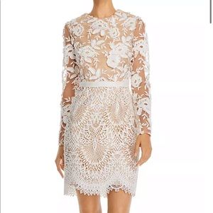 BHLDN Monique Lhuillier Tiana Calypso lace dress